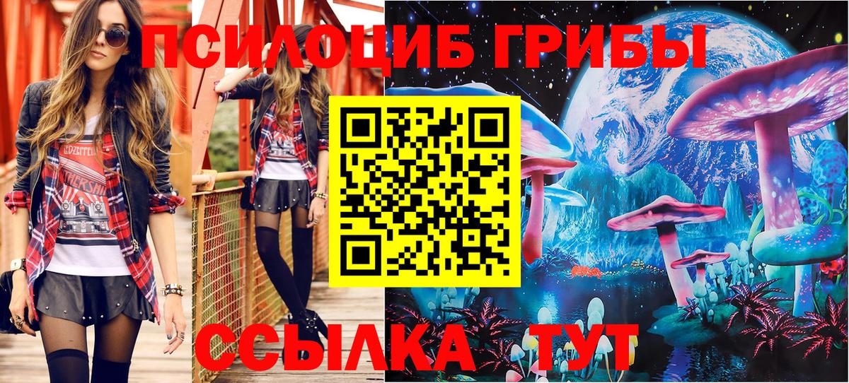 где купить наркоту  Галлюциногенные грибы MAGIC MUSHROOMS  Вход с VPN  Губкин 